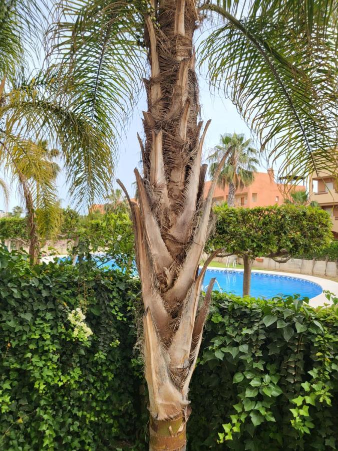 ¡bajo Con Terraza Y Patio Con Vistas A La Piscina Comunitaria! Apartment Vera