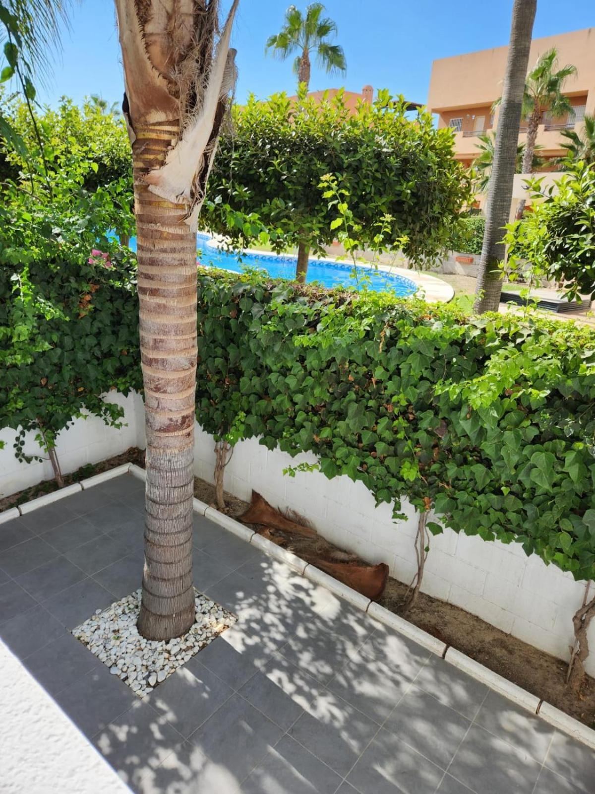 ¡bajo Con Terraza Y Patio Con Vistas A La Piscina Comunitaria! * Vera